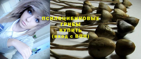 mdpv Алзамай