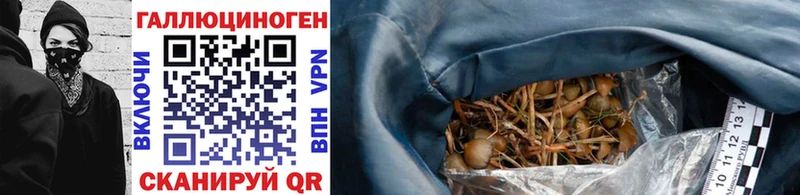 Галлюциногенные грибы GOLDEN TEACHER  Сухой Лог 